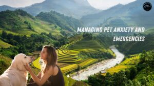 Managing Pet Anxiety and Emergencies
