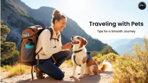 Traveling with Pet Tips for a Smooth Journey
